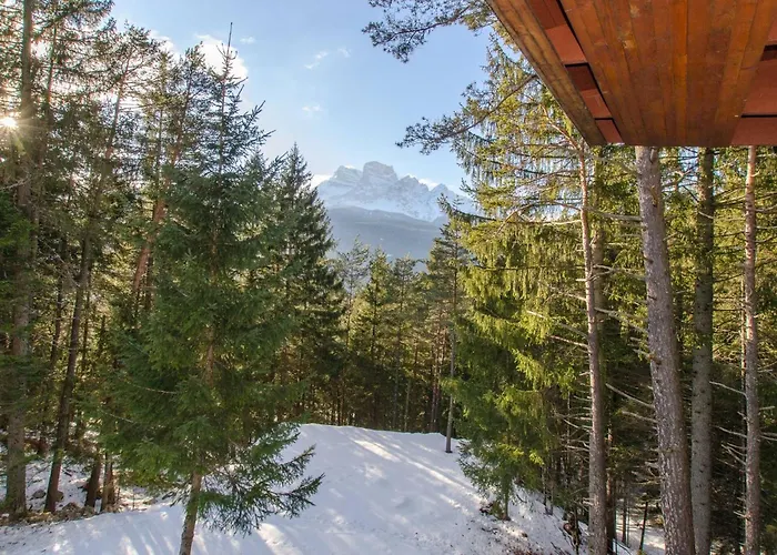 Apartment Dimora Di Autore Borca di Cadore